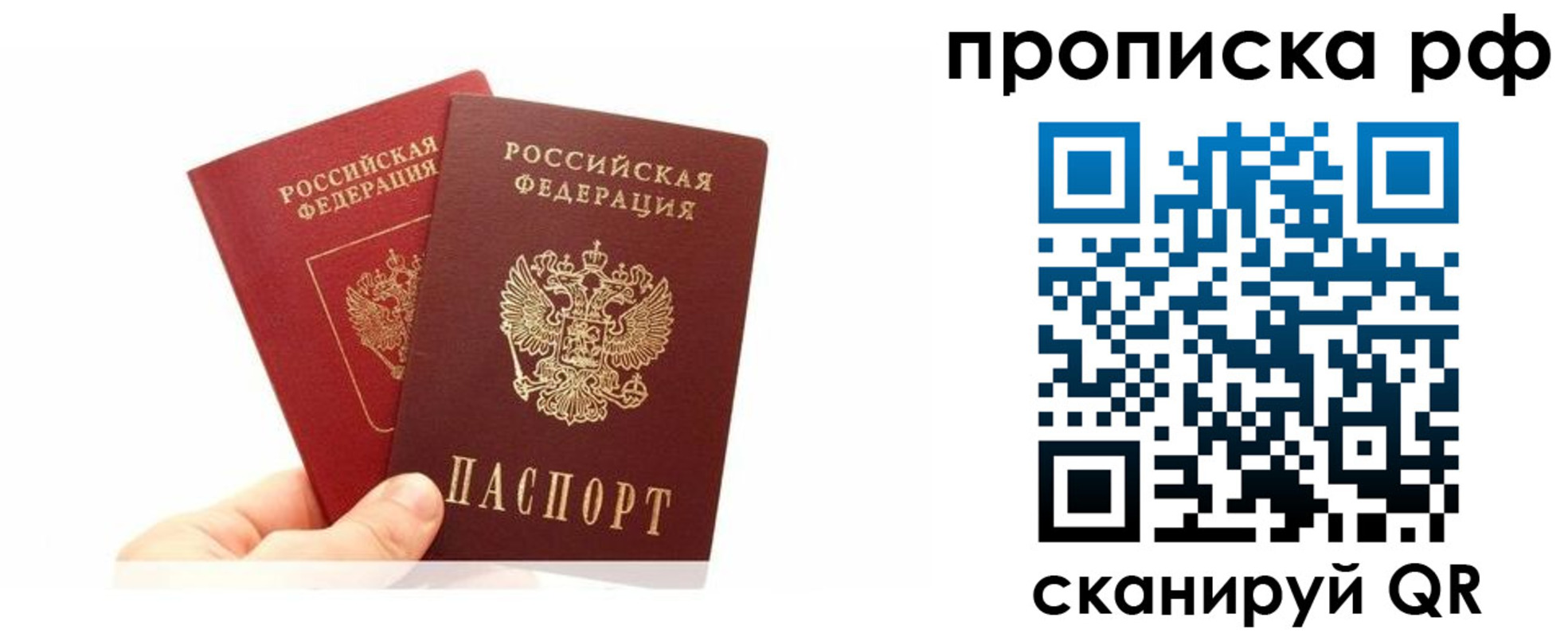 временная регистрация поиск в Елизово